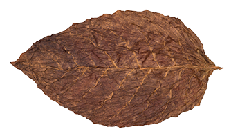Sumatra4